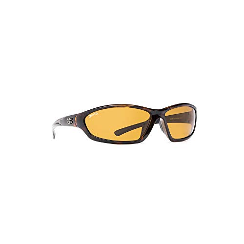 Tortoise/Amber