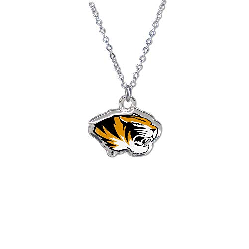 University of Missouri