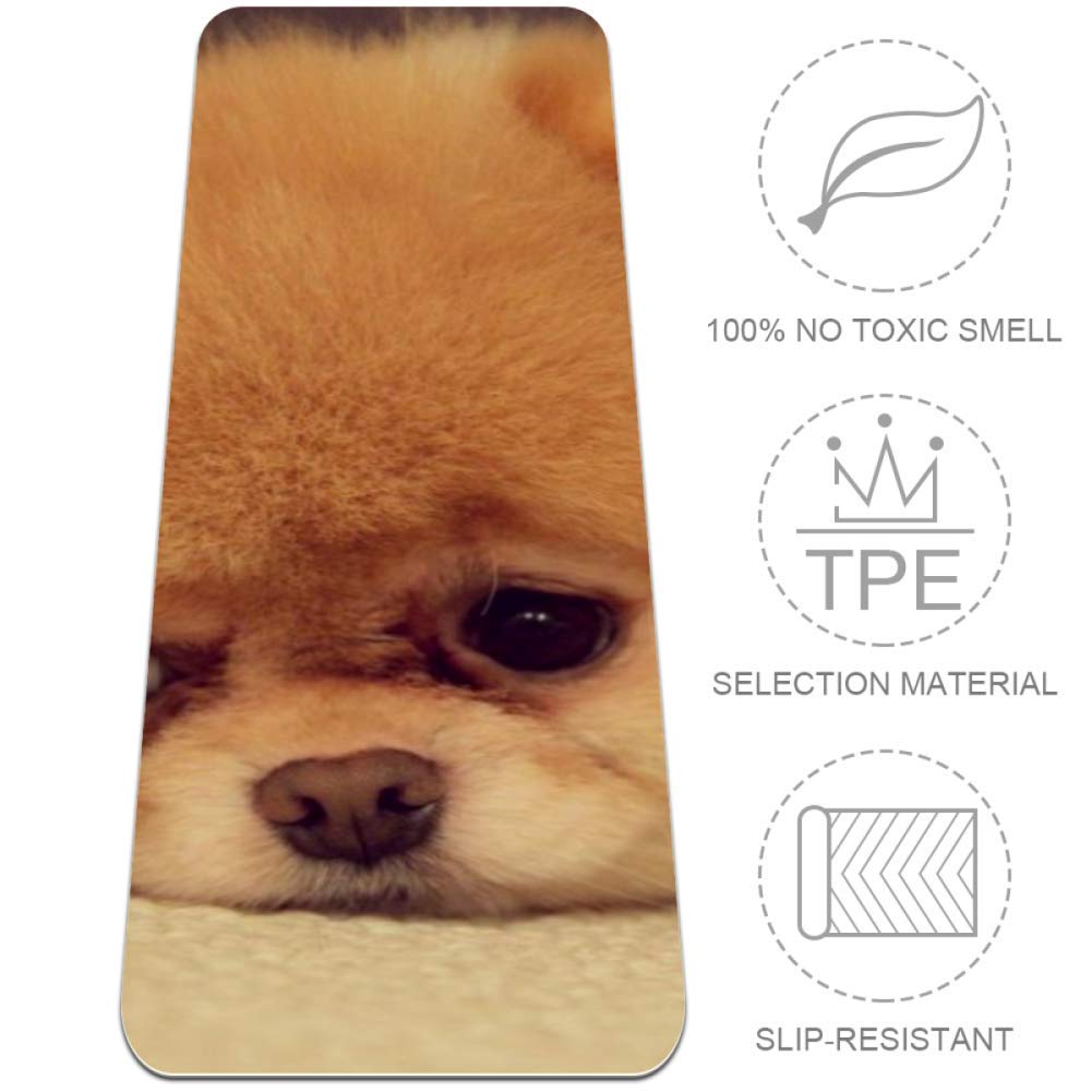LORVIES Eco-Friendly Non-Slip Baby Dog & Cat Yoga Mat - 72x24 Inch Anti-Tear Exercise Mat for Yoga, Pilates, Stretching, Meditation & Home Workouts - Perfect for Pet Owners & Fitness Enthusiasts