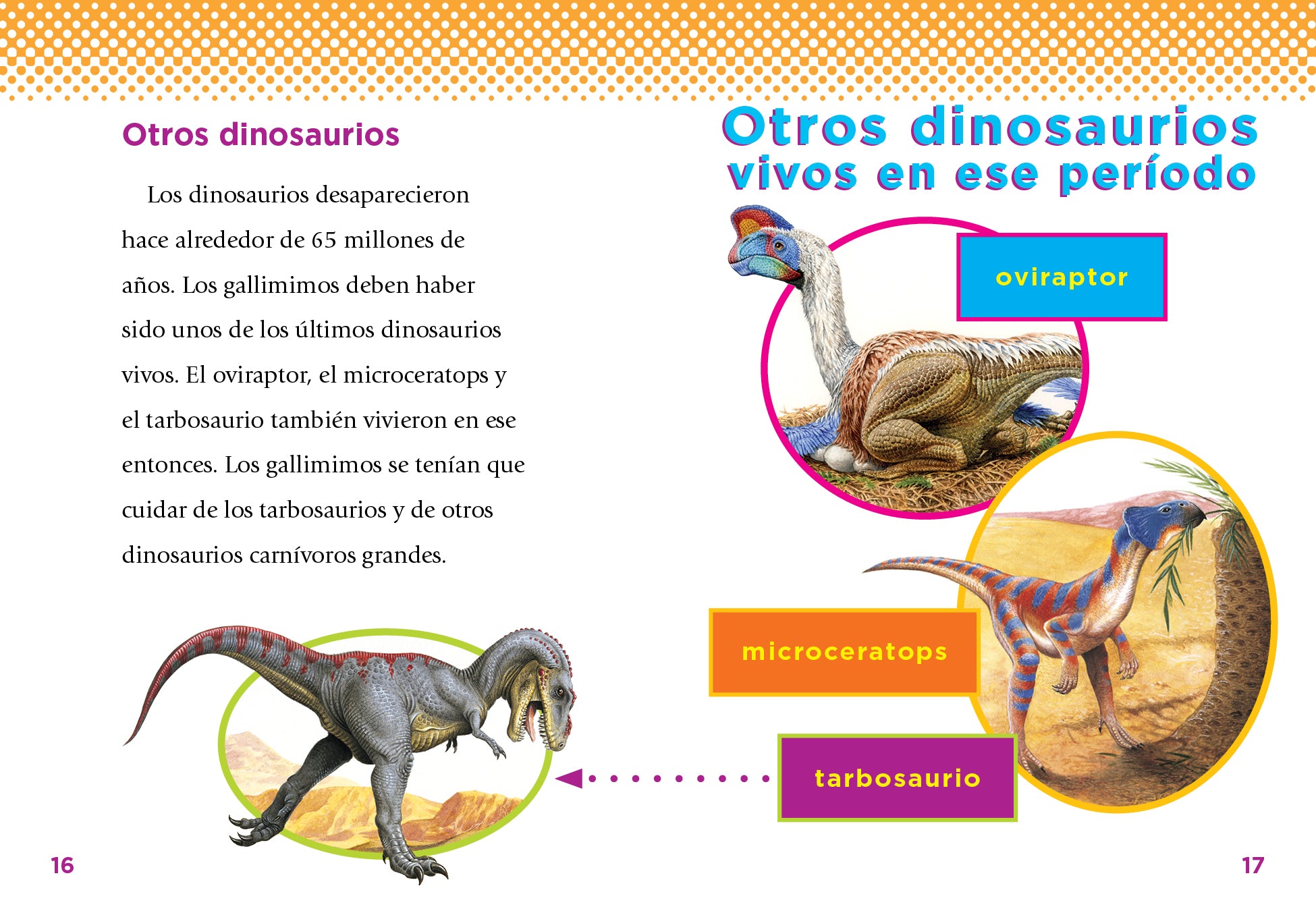 El Gallimimo 9781644666401 - Spanish Children's Book for Kids Learning & Bedtime Stories - Perfect for Home, School & Gifts