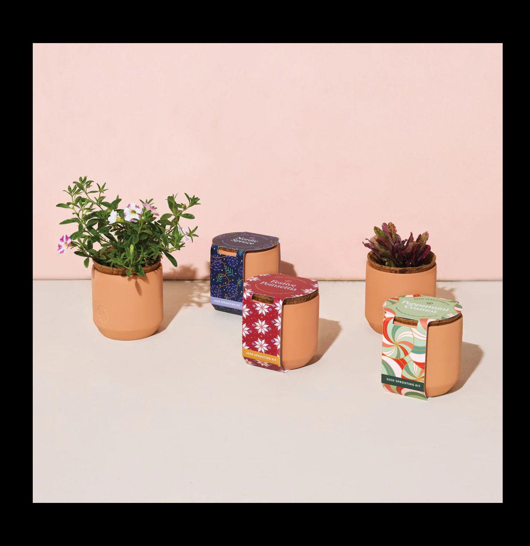 Mini Terracotta Plant Grow Kits - Herb Garden Starter Set for Indoor Plants, Succulents & Microgreens | Perfect for Home Decor, Kitchen Windowsill & Office Desk Gardening