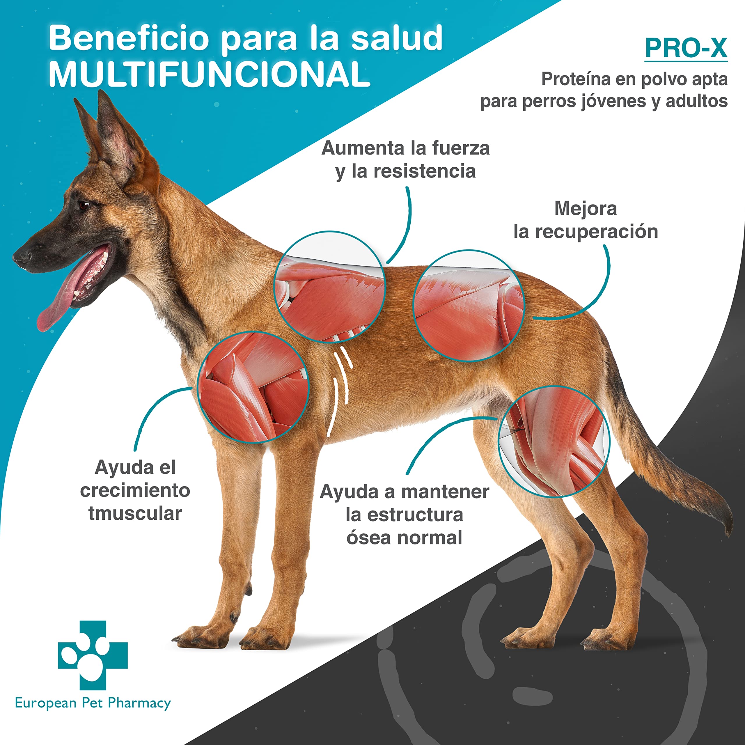 European Pet Pharmacy Pro-X Insect Protein Powder for Dogs - Hypoallergenic Dog Food Rich in Amino Acids - Protein Supplement for Dogs 1+ Years - Supports Muscle Growth & Energy, 300g | Ideal for Sensitive Stomachs & Active Dogs