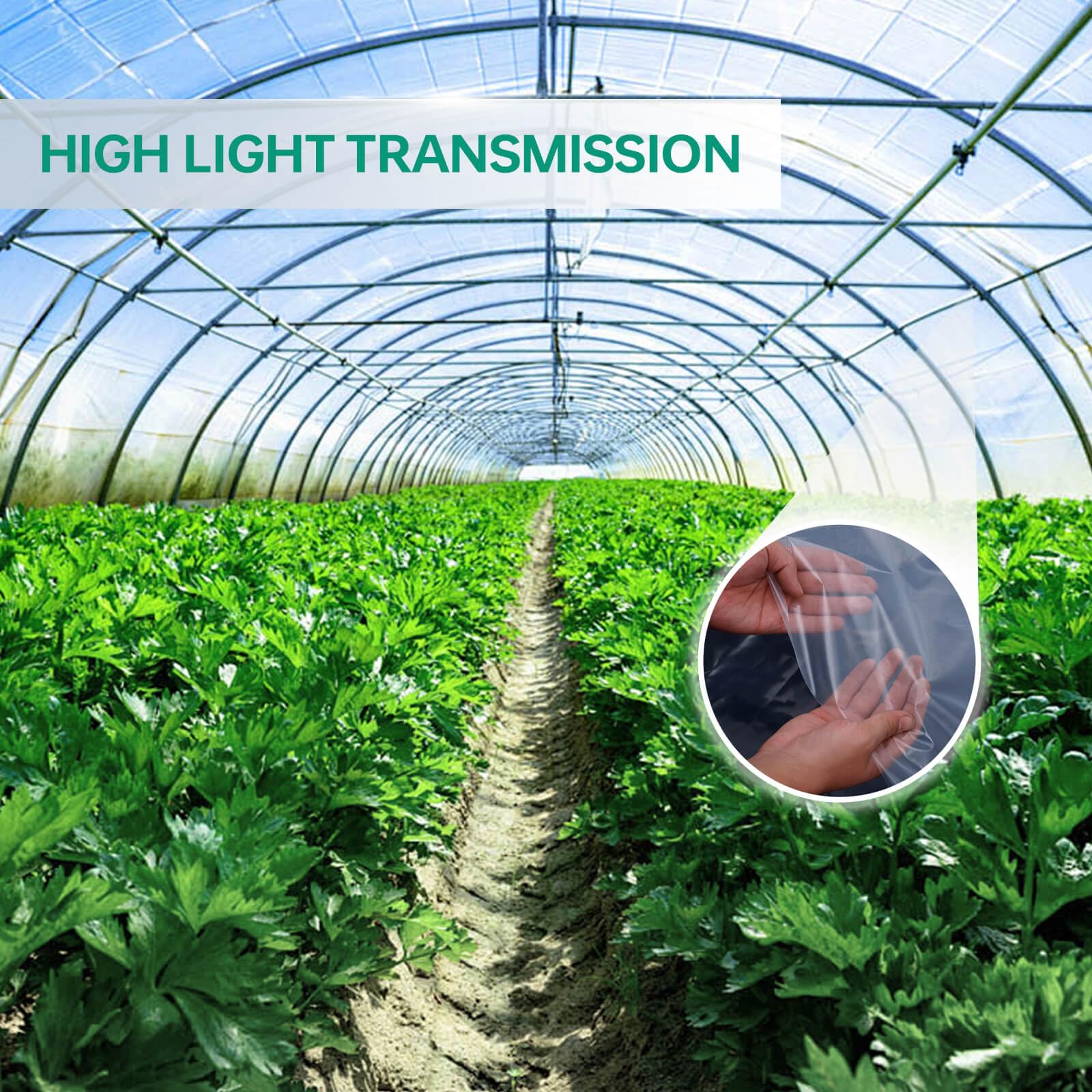 6Mil Thick Clear-White Greenhouse Plastic Sheeting 6.5x13FT - Anti-Drip UV Resistant Cover for Gardening, Farming & Plant Protection | Durable Greenhouse Film for Vegetables, Flowers & Agriculture Use in Backyards, Greenhouses & Hydroponics