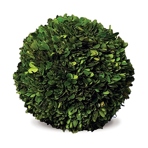 NAPA Home & Garden 10