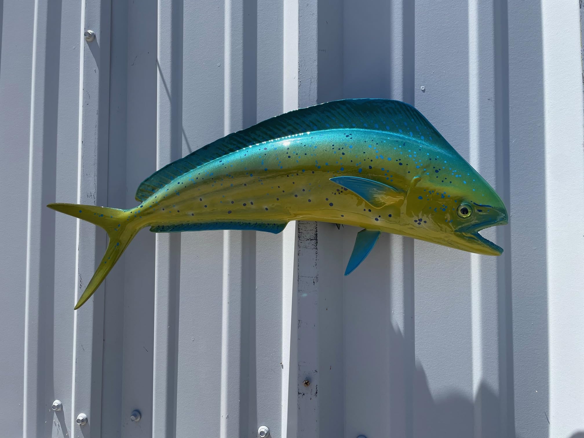 Bull Dolphin Two-Sided Wall Mount Fish Replica - Lifelike Fishing & Coastal Home Decor for Beach House, Nautical Theme Room, or Ocean Lover's Gift