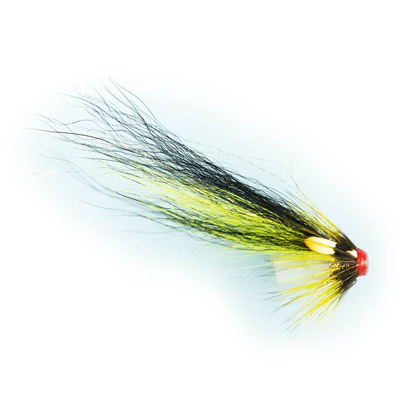 Caledonia Gledswood Tosh Loop Bottle Tube Fly - Premium Fishing Lure for Trout & Salmon - Perfect for Fly Fishing in Rivers & Streams