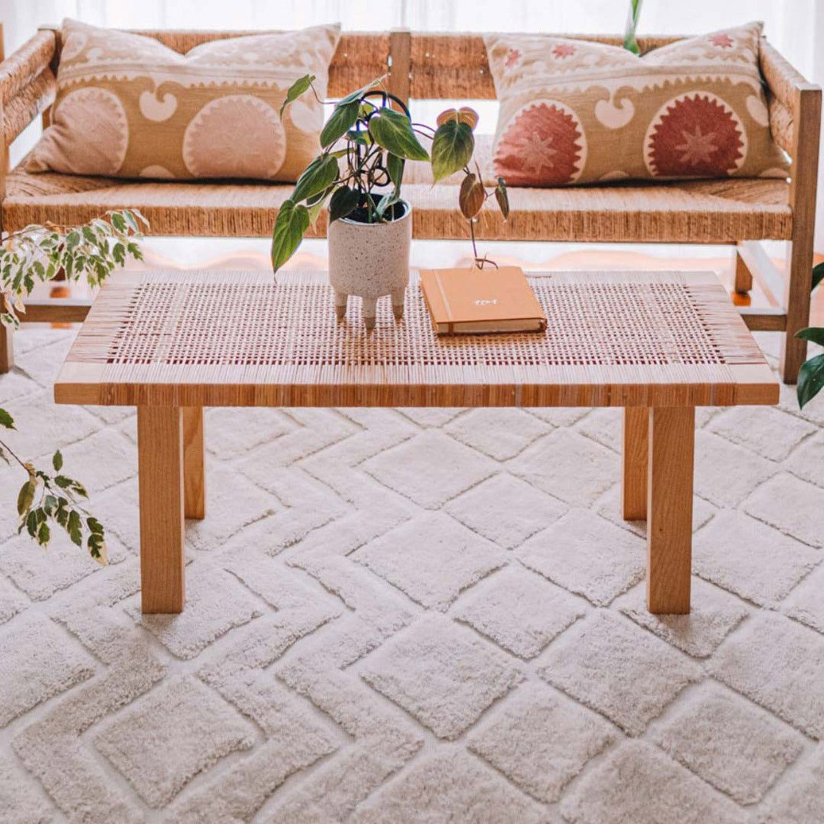 Luxury GIA Certified Diamond Tribal PET Shag Rug - Soft & Plush Eco-Friendly Faux Fur Carpet for Living Room, Bedroom, Nursery - Perfect for Cozy Home Decor & Pet-Friendly Spaces