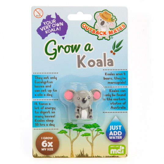 Grow Your Own Koala - DIY Koala Plush Kit for Kids & Adults - Fun Educational Toy for Animal Lovers - Perfect for Birthday Gifts, Classroom Activities & Home Decor