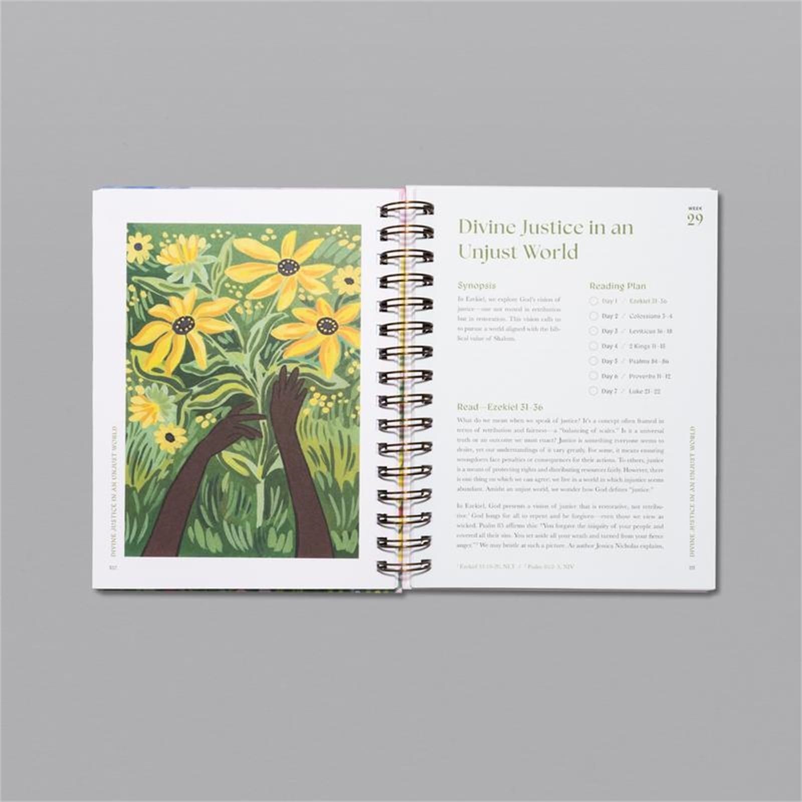 Beautiful Year in The Bible for Women - 52-Week Bible Study Guide & One-Year Scripture Reading Journey to Understand The Entire Bible (2025 Edition) - Perfect for Personal Devotion, Group Bible Studies & Christian Women's Retreats