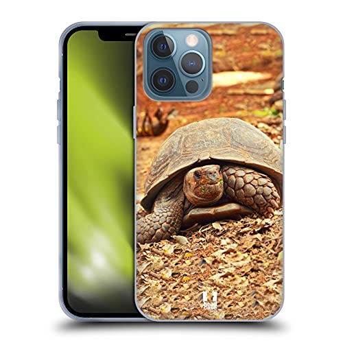 Crawling Tortoise