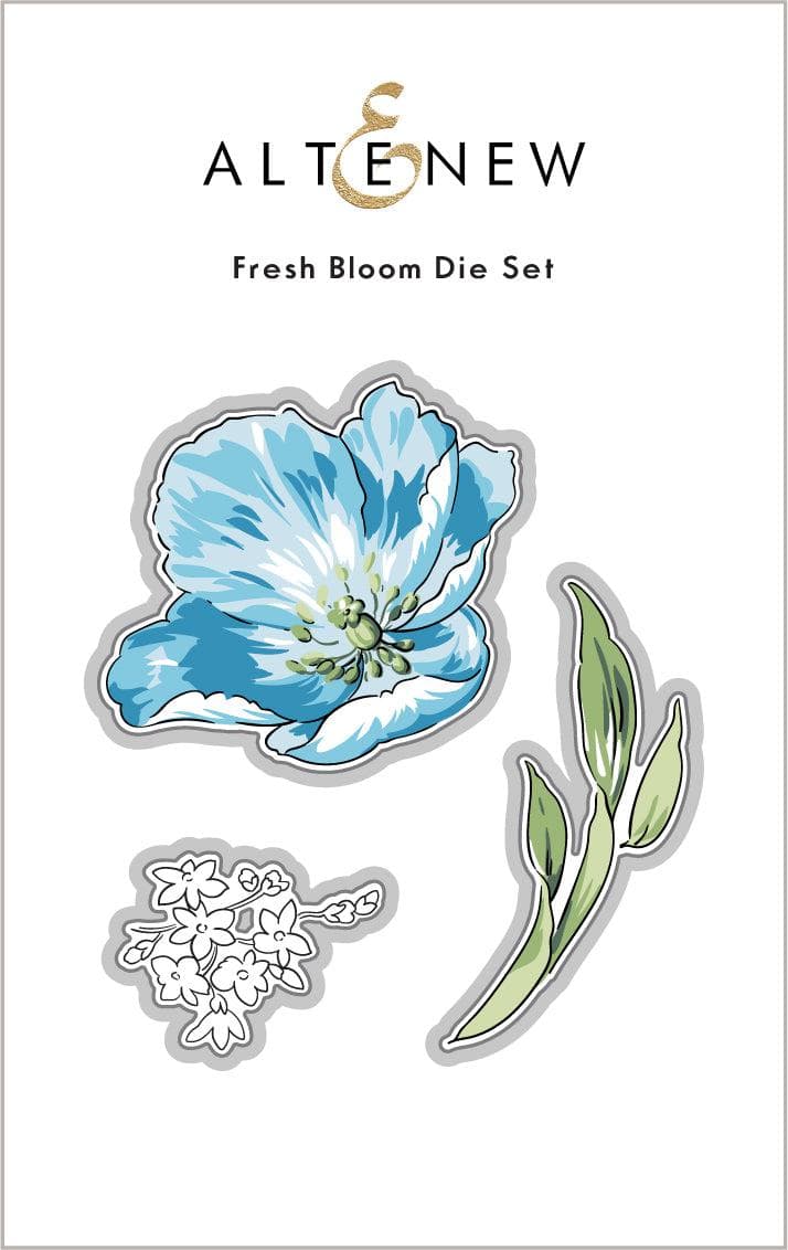 Fresh Bloom Flowers - Premium Fresh Cut Flowers for Home Decor, Weddings & Special Occasions | Perfect for Centerpieces, Gifts & Floral Arrangements