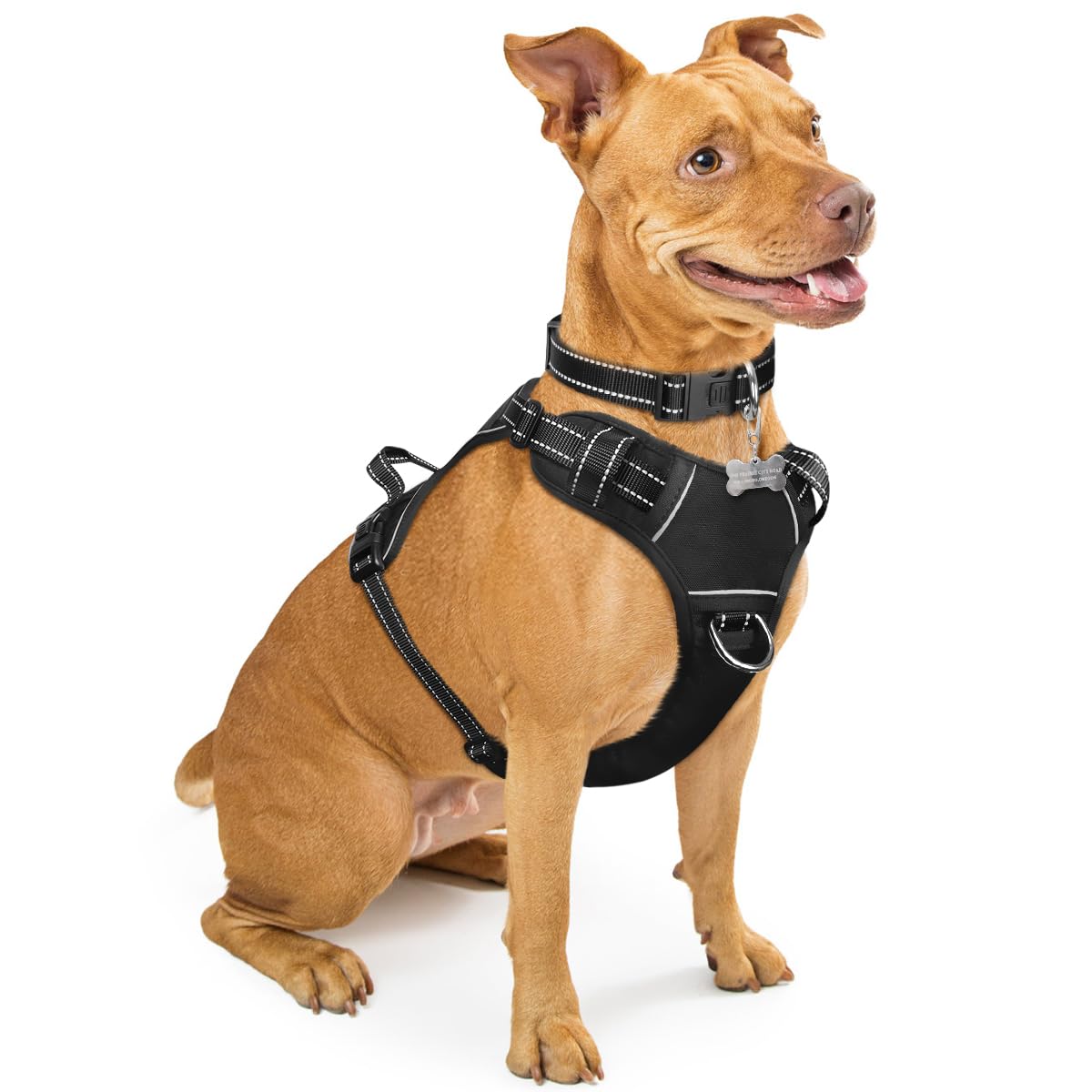 WINSEE No Pull Dog Harness - Adjustable Reflective Pet Vest with Front/Back Leash Clips for Small Medium Large XL Dogs - Easy Control Handle for Walking, Running & Outdoor Adventures