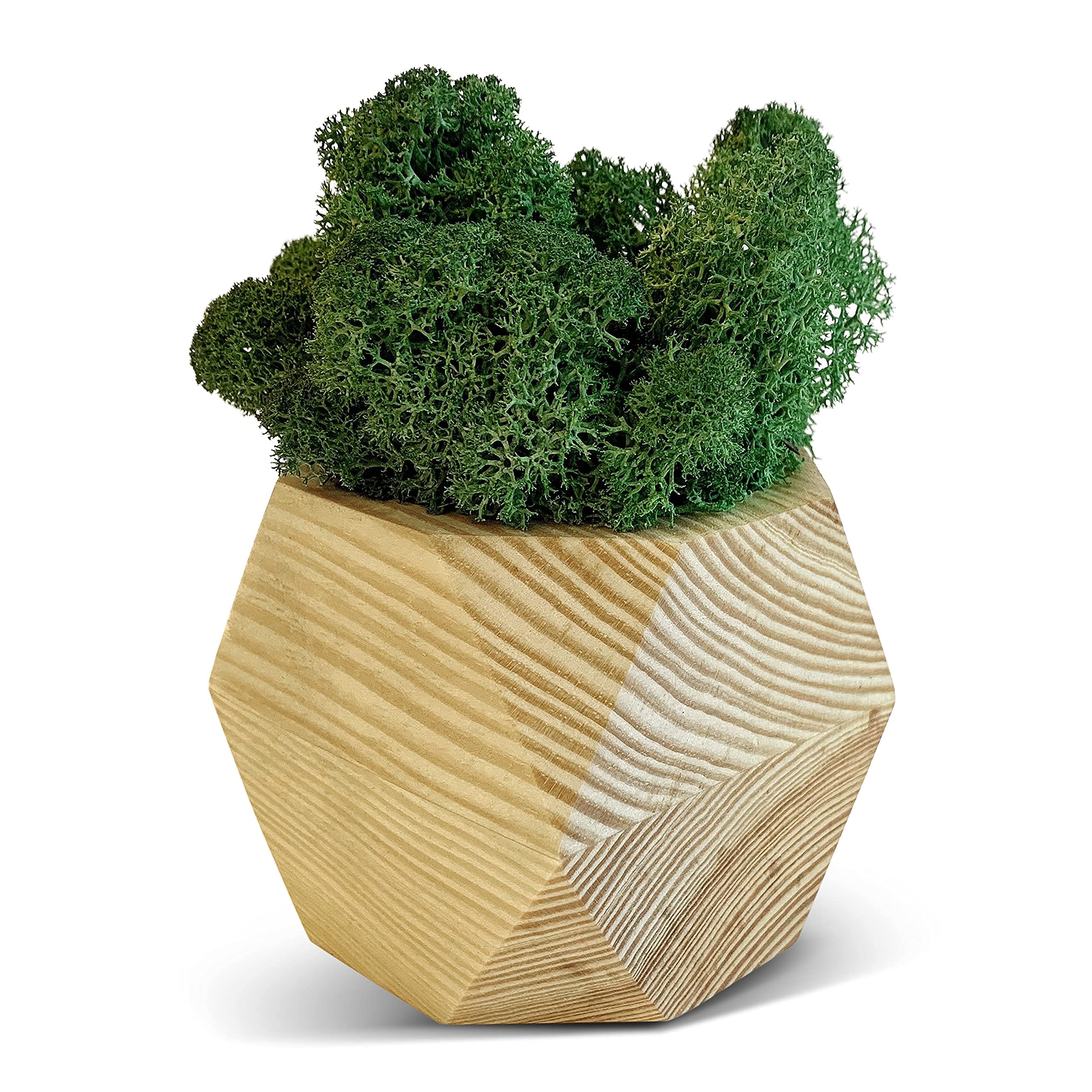 Natural Wooden Succulent Planter - Small Indoor Plant Pot for Succulents, Faux Plants, Preserved Moss & Flowers - Perfect for Home Decor, Office Desk & Gift Ideas