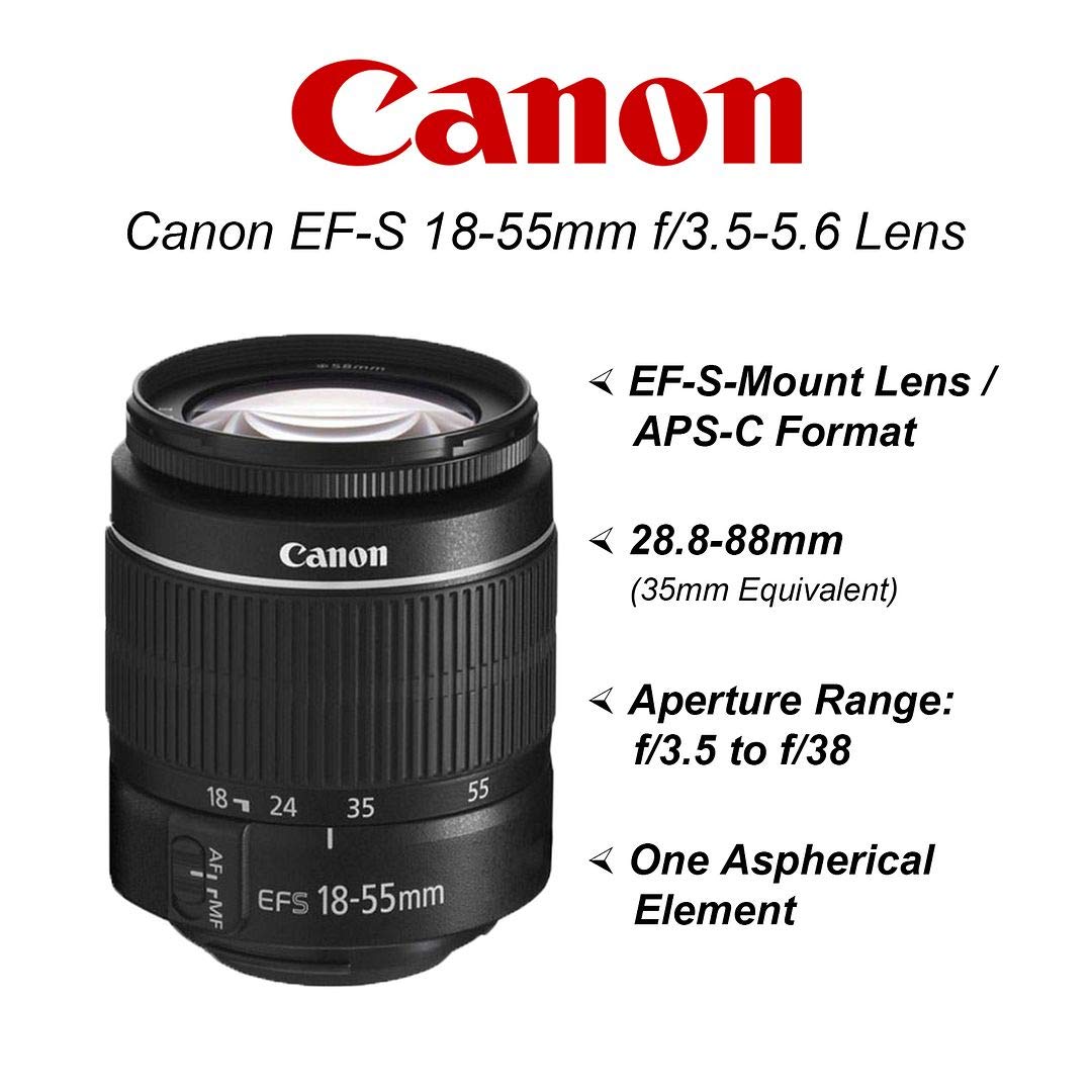 Canon EOS 2000D Rebel T7 DSLR Camera Bundle with 18-55mm Lens - 64GB Memory Card, Tripod, Case & Filters (Black) | Perfect for Beginners, Travel Photography & YouTube Content Creation