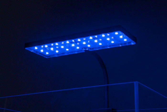Aqua Worx EOS Nano LED Aquarium Light - Energy Efficient Coral Reef & Plant Growth Light for Saltwater & Freshwater Tanks - Perfect for Nano Tanks, Betta Fish, Shrimp & Small Aquariums