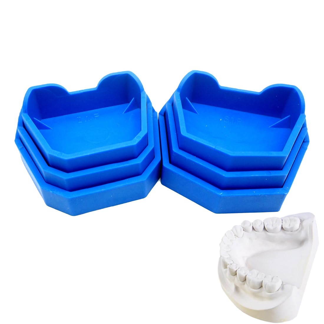 6PCS Dental Plaster Mold Base Forming Kit - Professional Impression Trays & Model Base Set for Dentists, Orthodontists & Dental Labs | Perfect for Crowns, Bridges & Denture Making