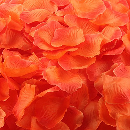Sunset Red