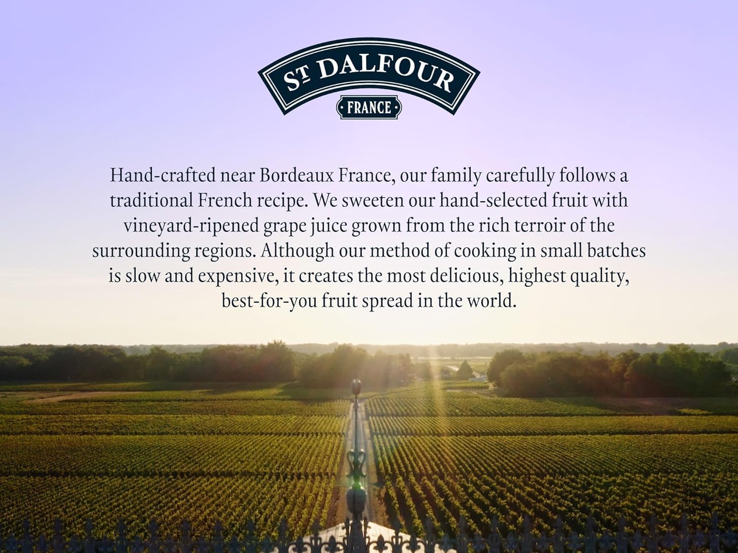 St. Dalfour Organic French Fruit Spread Bundle - 100% Natural Strawberry, Blueberry & Four Fruits Preserves (10 oz Each) | No Artificial Ingredients | Perfect for Toast, Yogurt & Baking