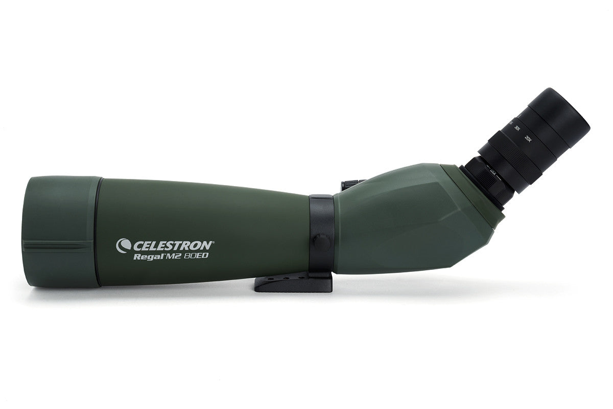 Celestron Regal M2 20-60x80mm ED Angled Spotting Scope with Zoom - High Performance for Bird Watching, Hunting & Target Shooting