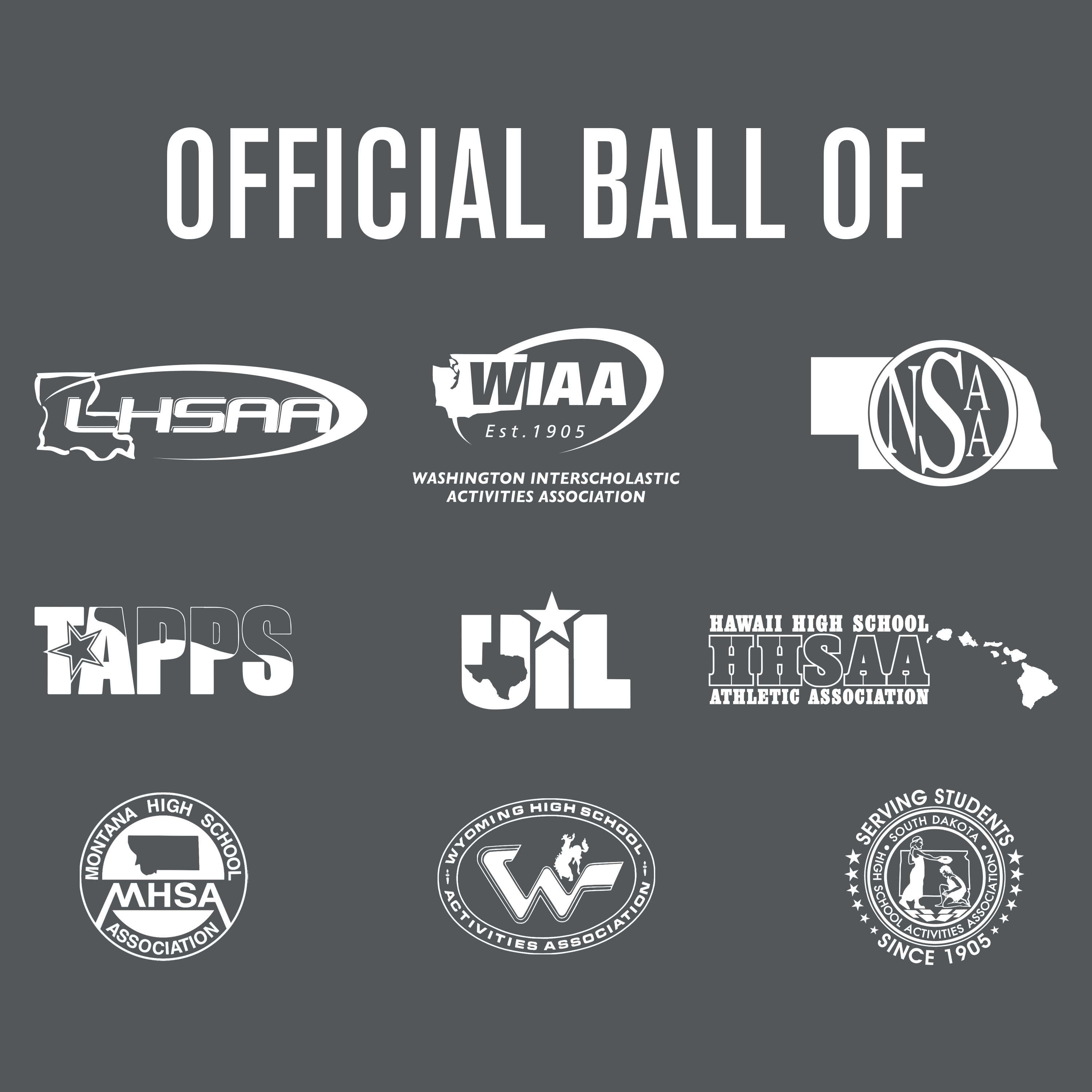 Elite Pro Official Game Basketball - Premium Indoor/Outdoor Basketball for Men & Women - Perfect for NBA-Style Games, Training, and Competitive Play
