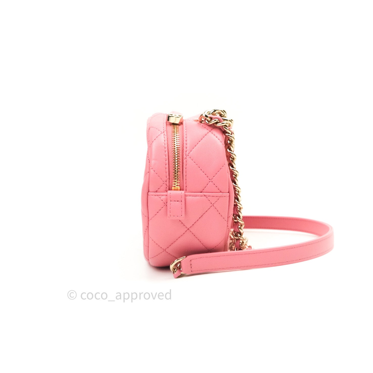 Chanel Quilted Camera Bag in Pink Lambskin with Gold Hardware - Luxury Crossbody Purse for Women, Perfect for Date Night & Special Occasions