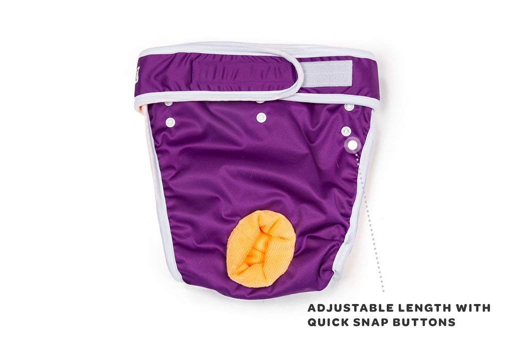 Washable Reusable Female Dog Diapers - Premium Absorbent Pet Panties for Small Dogs (Small, Green) | Perfect for Incontinence, Heat Cycles & House Training