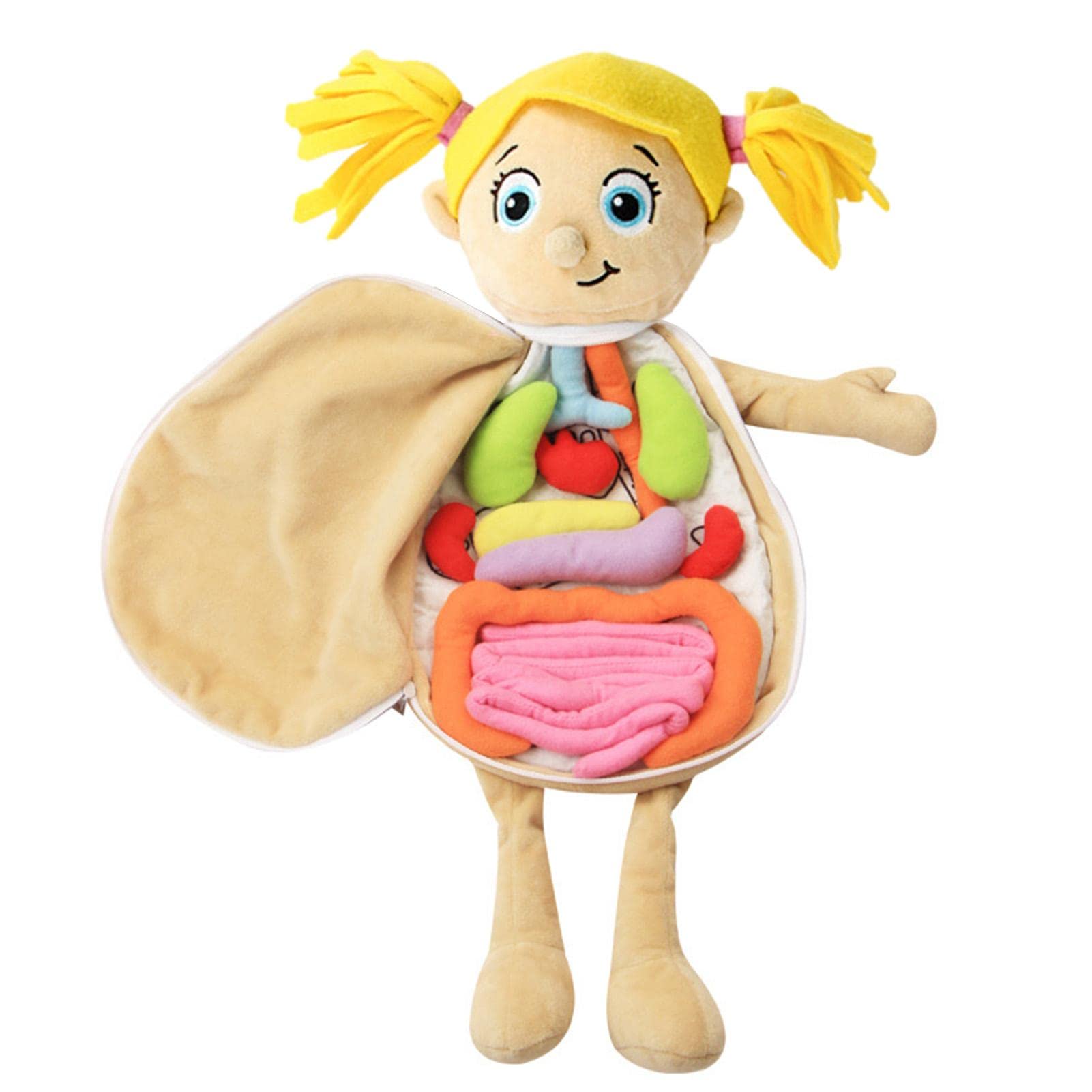 Human Body Anatomy Toy - Educational Organ Plush Doll for Kids | Preschool Learning Tool with Removable Organs | Body Structure Puzzle & Cognitive Development Toy | Perfect for Homeschooling, Classroom Science Lessons & Montessori Activities