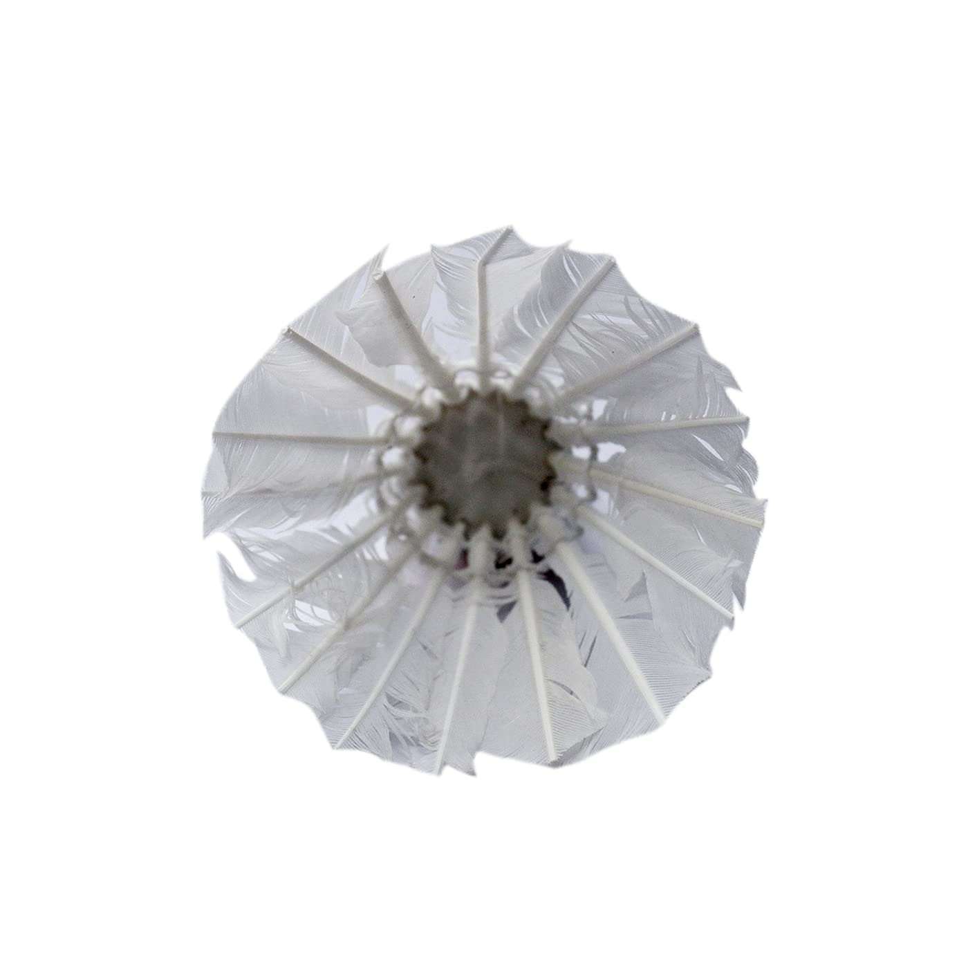 **Premium AASA Feather Shuttlecocks for Badminton – Indoor & Outdoor Play – Durable Set of 10 (White) – Perfect for Kids, Adults, and Competitive Matches**
