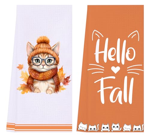 2 Pack-fall Cat