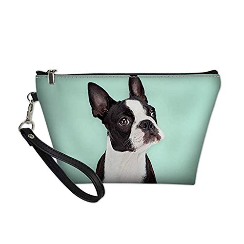 Boston Terrier