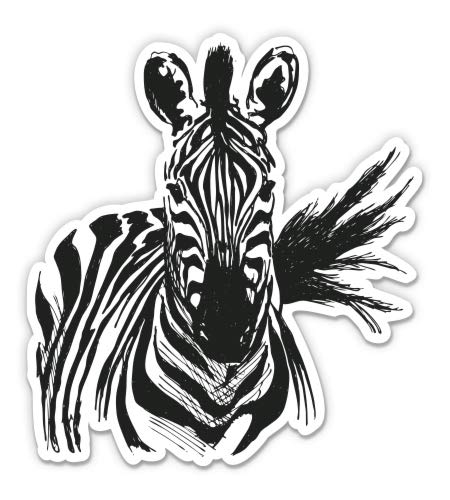 Zebra 3