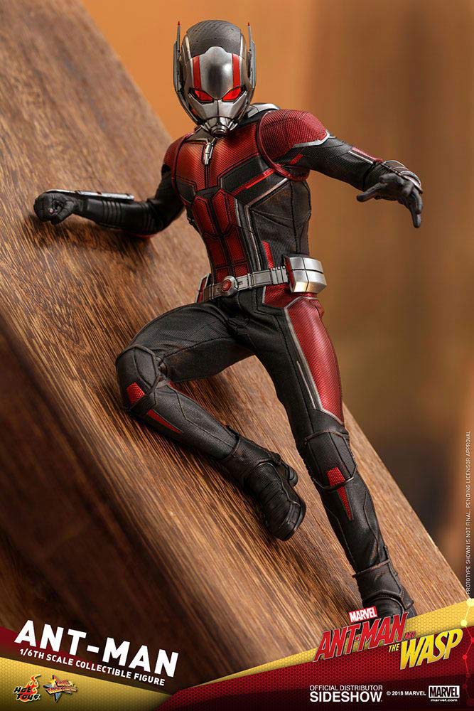 Hot Toys 1:6 Scale Ant-Man Action Figure - Movie Masterpiece Series Collectible for Marvel Fans & Display