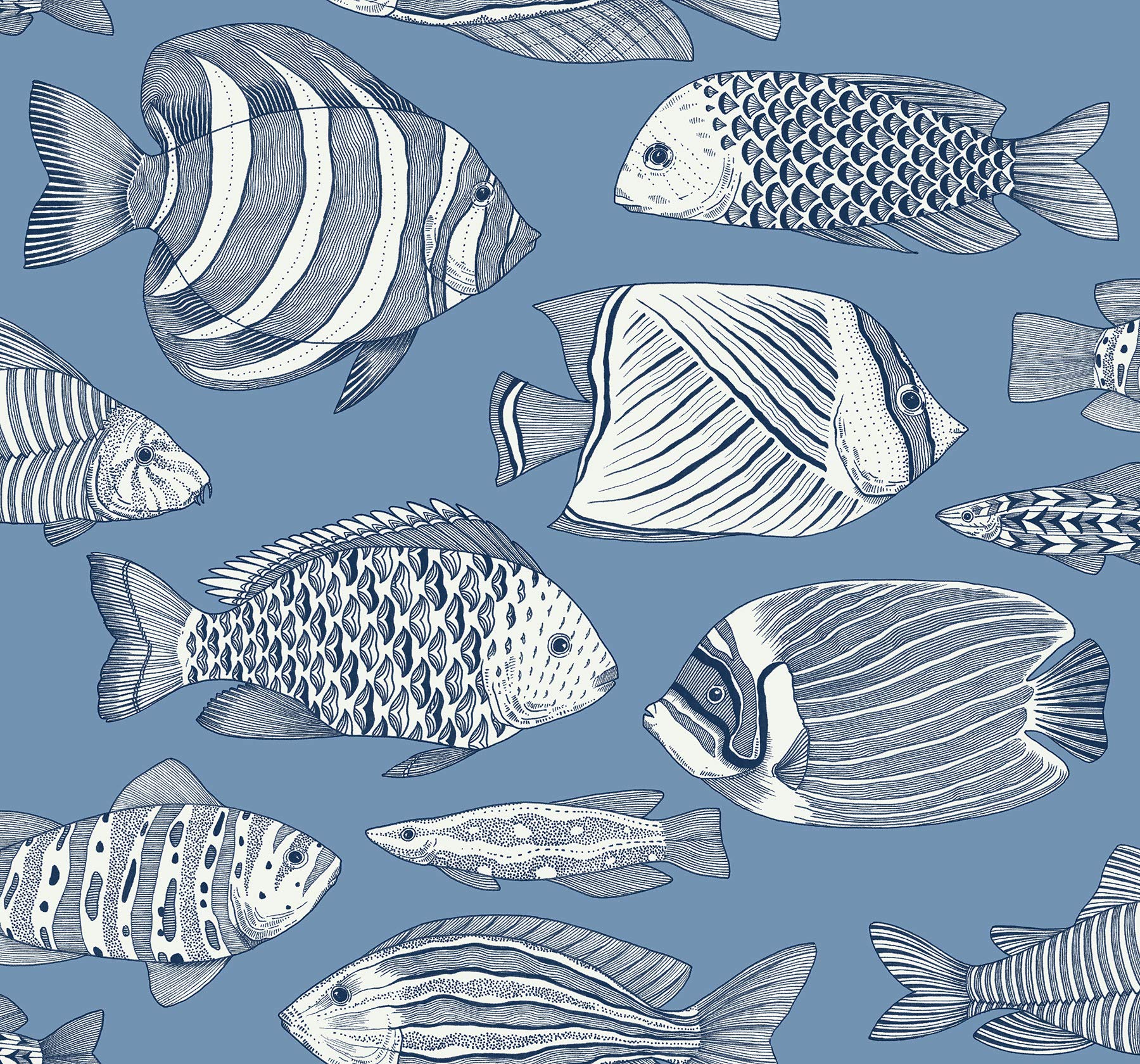 A-Street Prints Wailea Sky Blue Tropical School Wallpaper - Vibrant Island-Themed Classroom Decor for Kids & Teachers - Perfect for Nursery, Playroom, and Educational Spaces