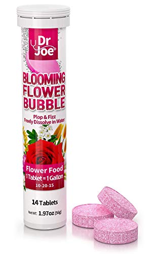 Blooming Flower Bubble