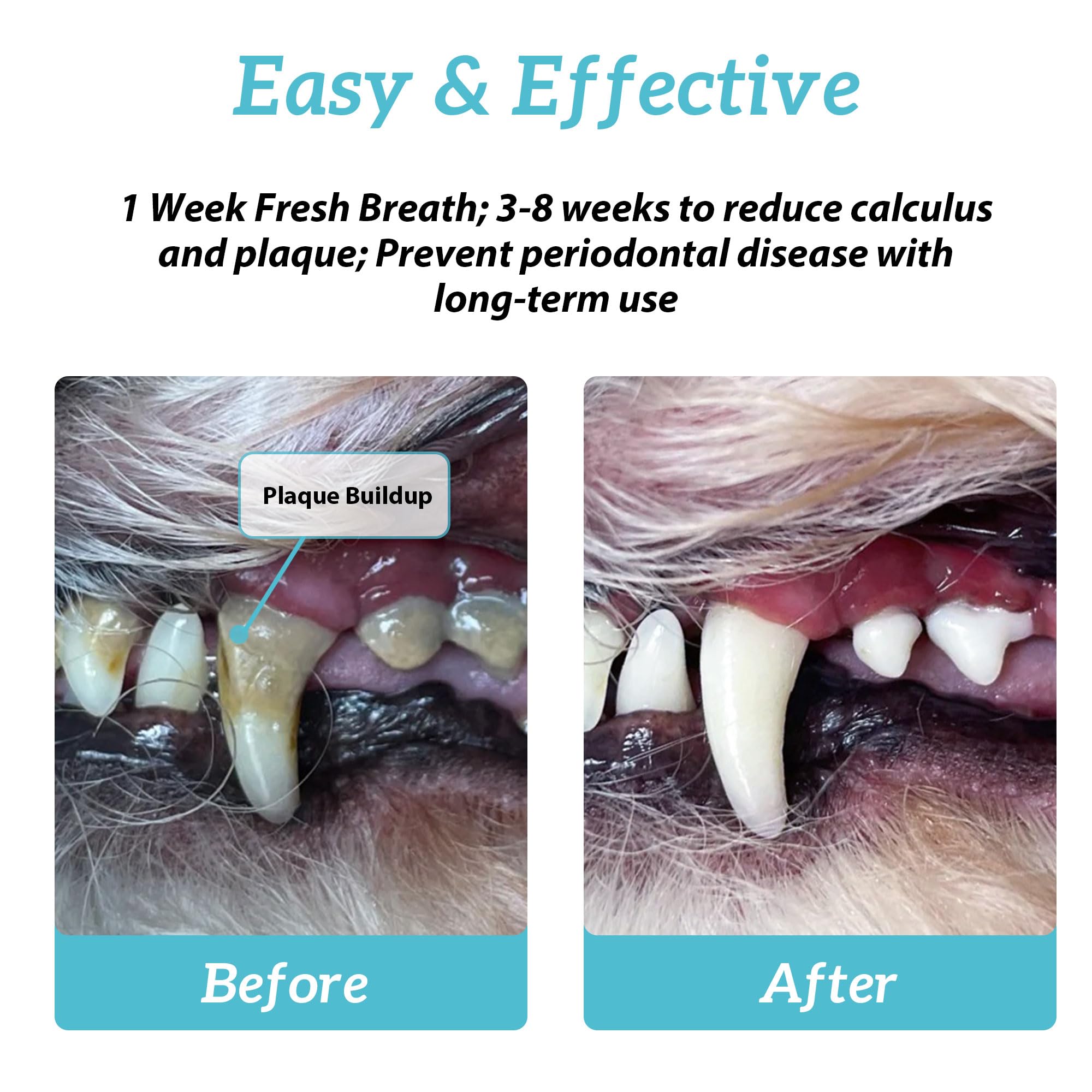 Natural Dog Dental Powder for Teeth Cleaning - Removes Plaque & Tartar, Freshens Breath with Probiotics (2.12 Oz) - Ideal for Daily Oral Care & Dental Hygiene for Dogs