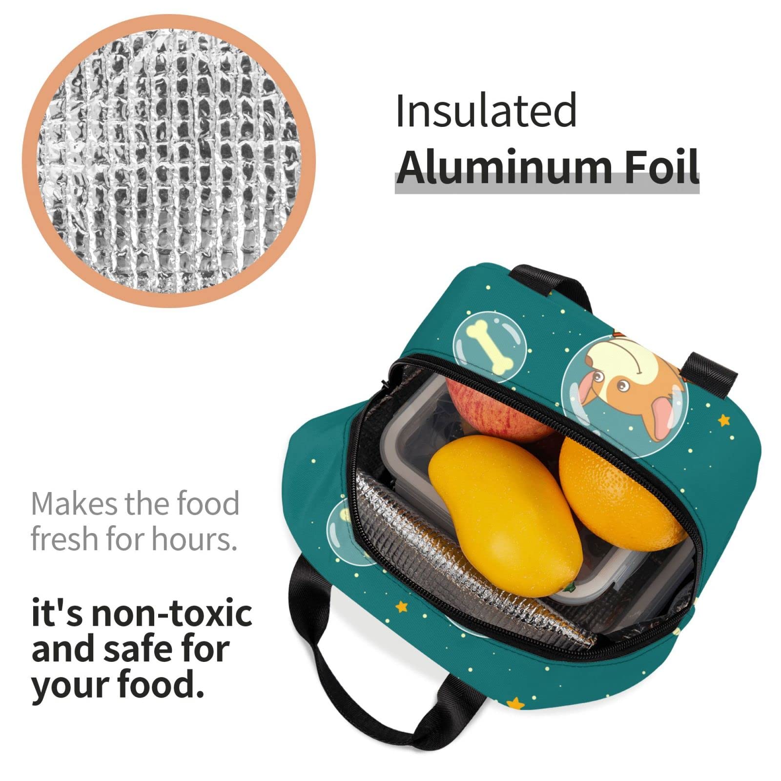 Cute Smiling Dog Insulated Lunch Box - Reusable & Portable Meal Bag for School, Work, Travel & Picnic | Perfect for Teens, Boys & Girls | Keep Food Fresh All Day