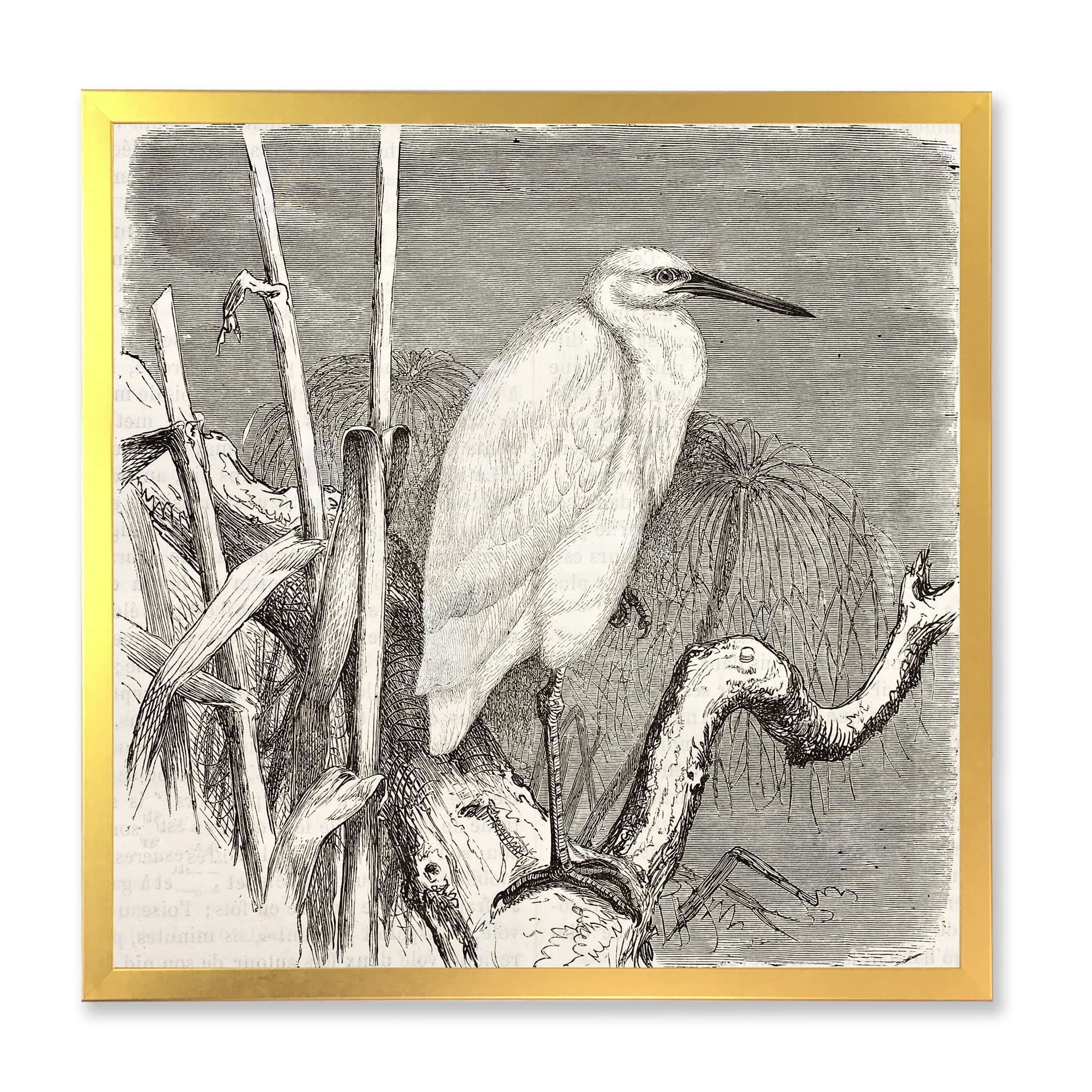 DesignQ Little Egret Bird Farmhouse Framed Wall Art - Vintage Countryside Decor for Living Room, Bedroom & Office - Perfect Rustic Home Decoration Gift