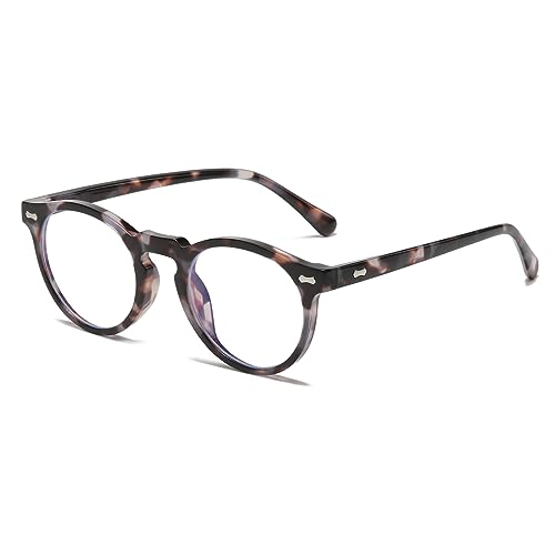 04 Grey Tortoise