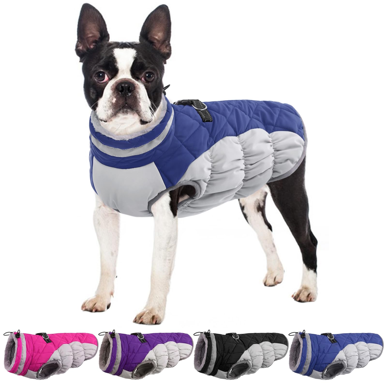 Small Dog Puppy Winter Coat - Warm Waterproof Jacket with Built-in Harness, Blue | Perfect for Cold Weather Walks & Outdoor Adventures