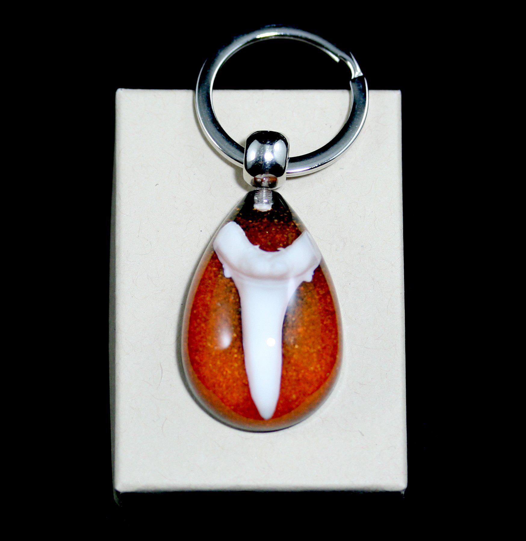 Shark Tooth Keychain - Durable Stainless Steel Keyring with Unique Shark Tooth Design - Perfect for Beach Lovers, Surfers & Outdoor Enthusiasts