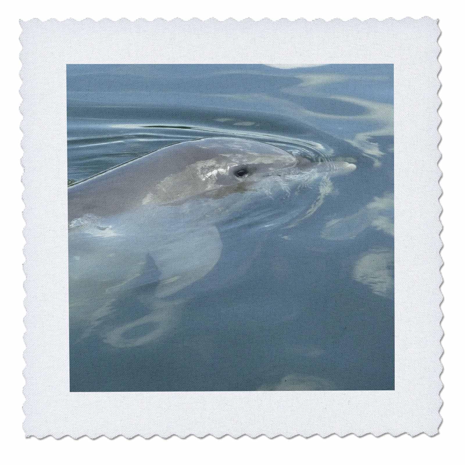 3D Rose Dolphin Thoughts Quilt Square - 6x6 Inch Fabric Patch for DIY Quilting, Sewing & Craft Projects - Perfect for Home Decor, Wall Art & Gift Ideas (qs_7333_2)