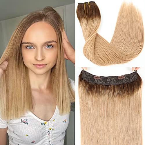 Chocolate Brown to Dirty Blonde T4/27