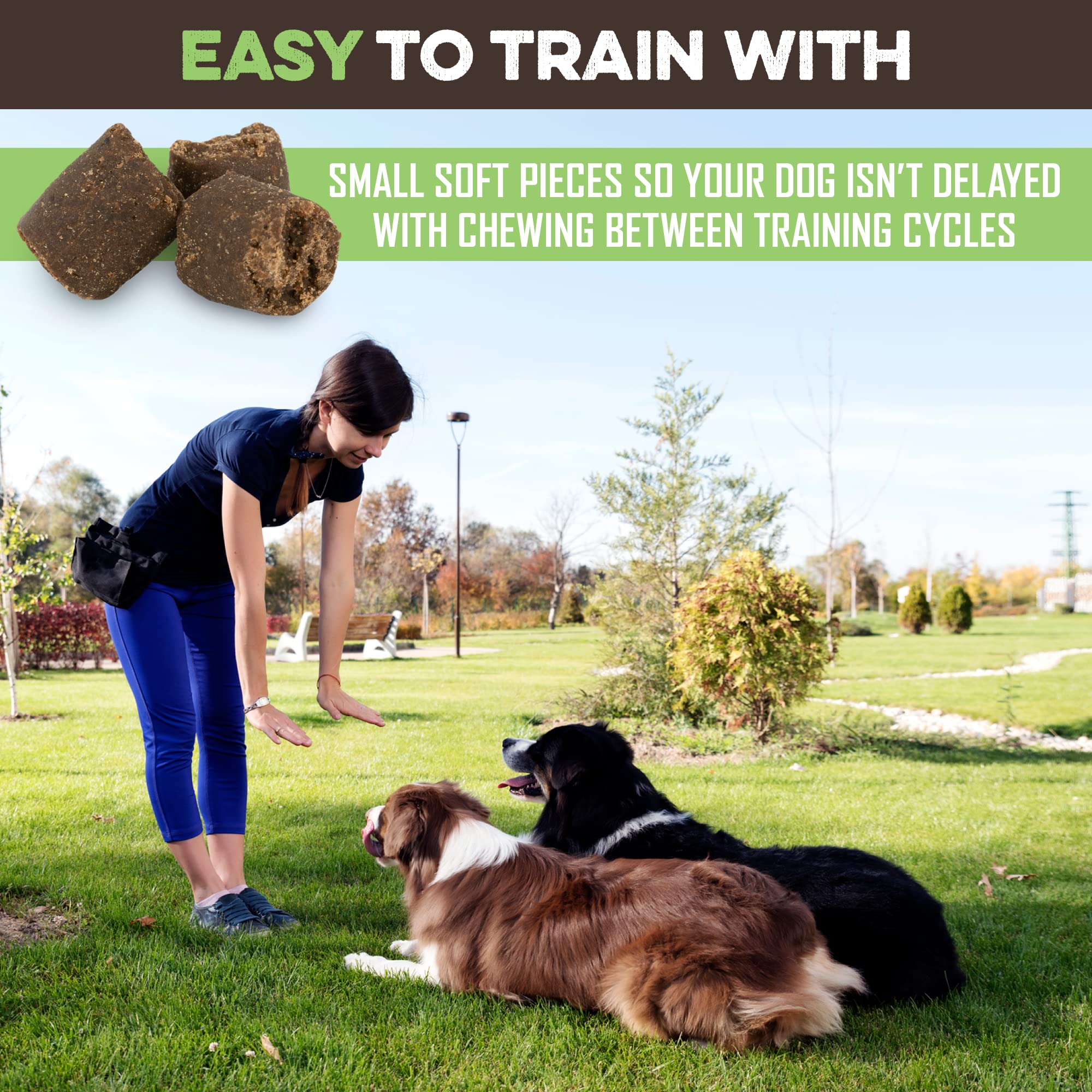 BRUTUS & BARNABY All-Natural Peanut Butter & Apple Vegan Dog Training Treats - Low Calorie Healthy Snacks for Puppy & Dog Rewards - Perfect for Obedience Training, Behavior Reinforcement and Positive Reward System