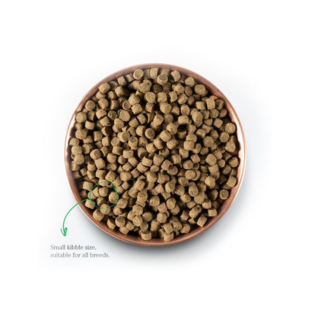 Premium Pasture-Raised Lamb Dry Dog Food - High Protein, Grain-Free Kibble for Active Dogs & Puppies - Perfect for Training Treats & Outdoor Adventures
