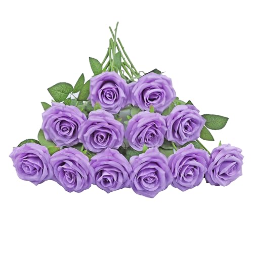 12 Lilac