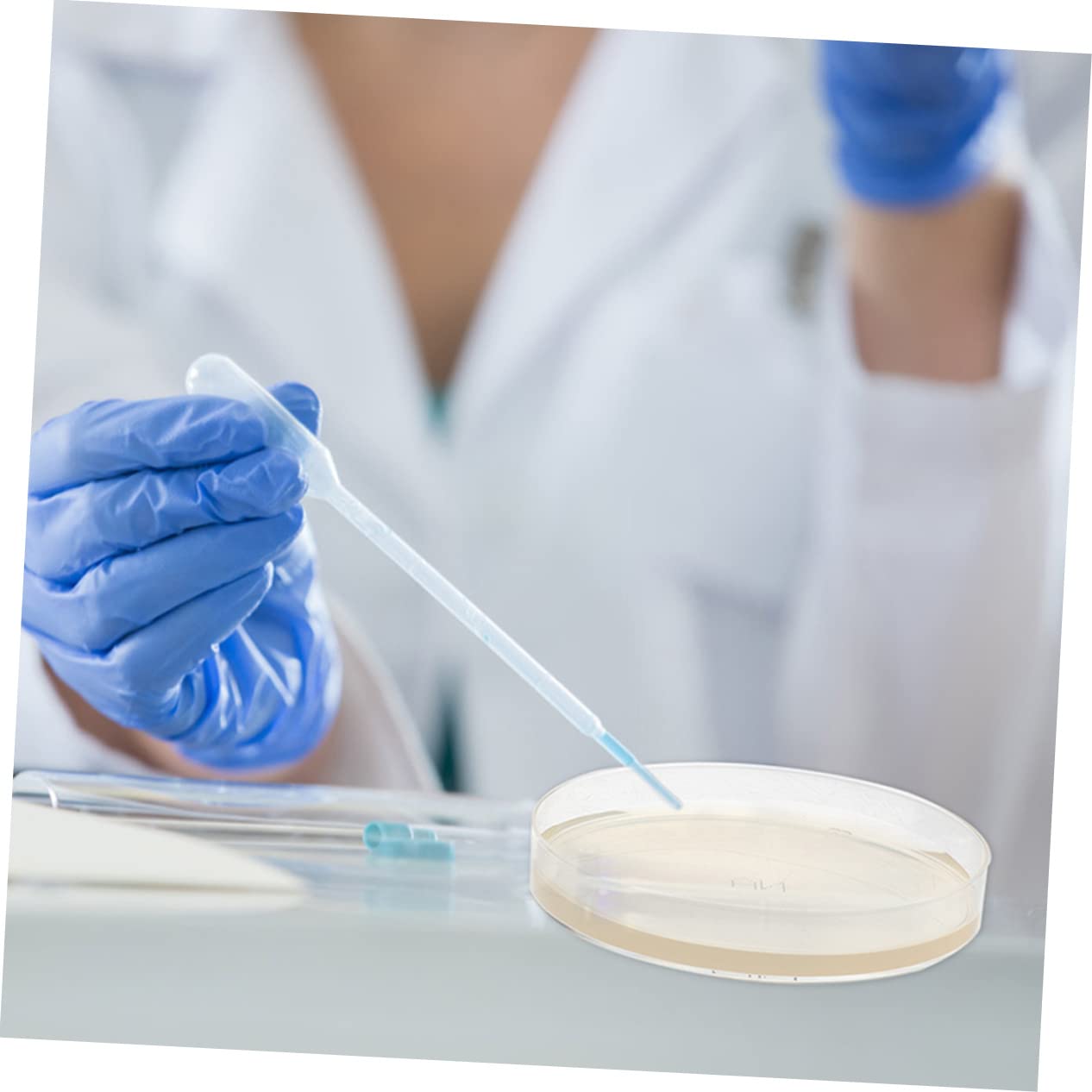30 Pcs Nutrient Agar Petri Dishes for Mushroom Tissue Culture | Lab-Grade Agar Plates for Microbiology Experiments | Perfect for Classroom Labs, Home Science Kits & Kids STEM Projects