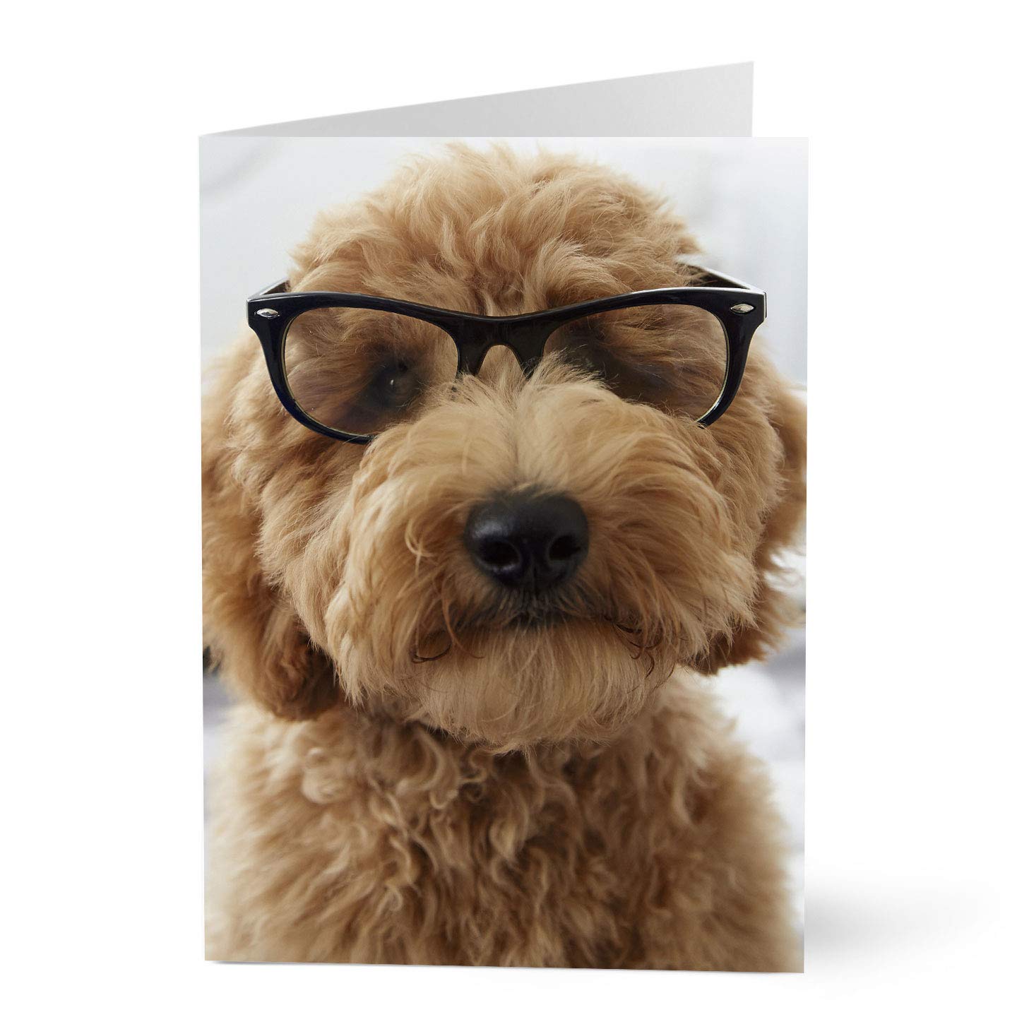 Hallmark Business Encouragement Greeting Cards - Pack of 25 Motivational Cards for Customers & Employees (Funny Dog in Glasses Design) - Perfect for Office Appreciation Gifts, Staff Recognition & Client Thank You Notes
