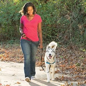 Premium Easy Walk® No-Pull Dog Harness for Small Dogs - Comfortable & Adjustable Pet Walking Harness for Training - Perfect for Daily Walks, Jogging & Outdoor Adventures