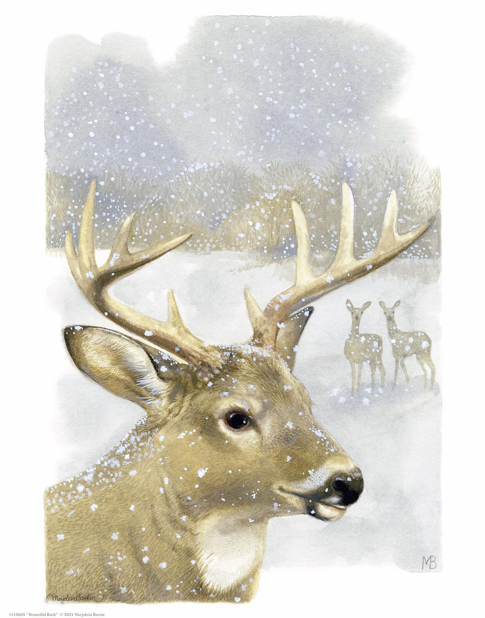 Beautiful Buck Art Prints - Stunning Deer Wall Decor for Home, Office & Cabin - Perfect for Nature Lovers & Wildlife Enthusiasts