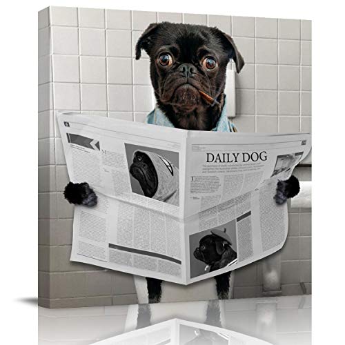 Read the Newspaper in the Toiletlop9554